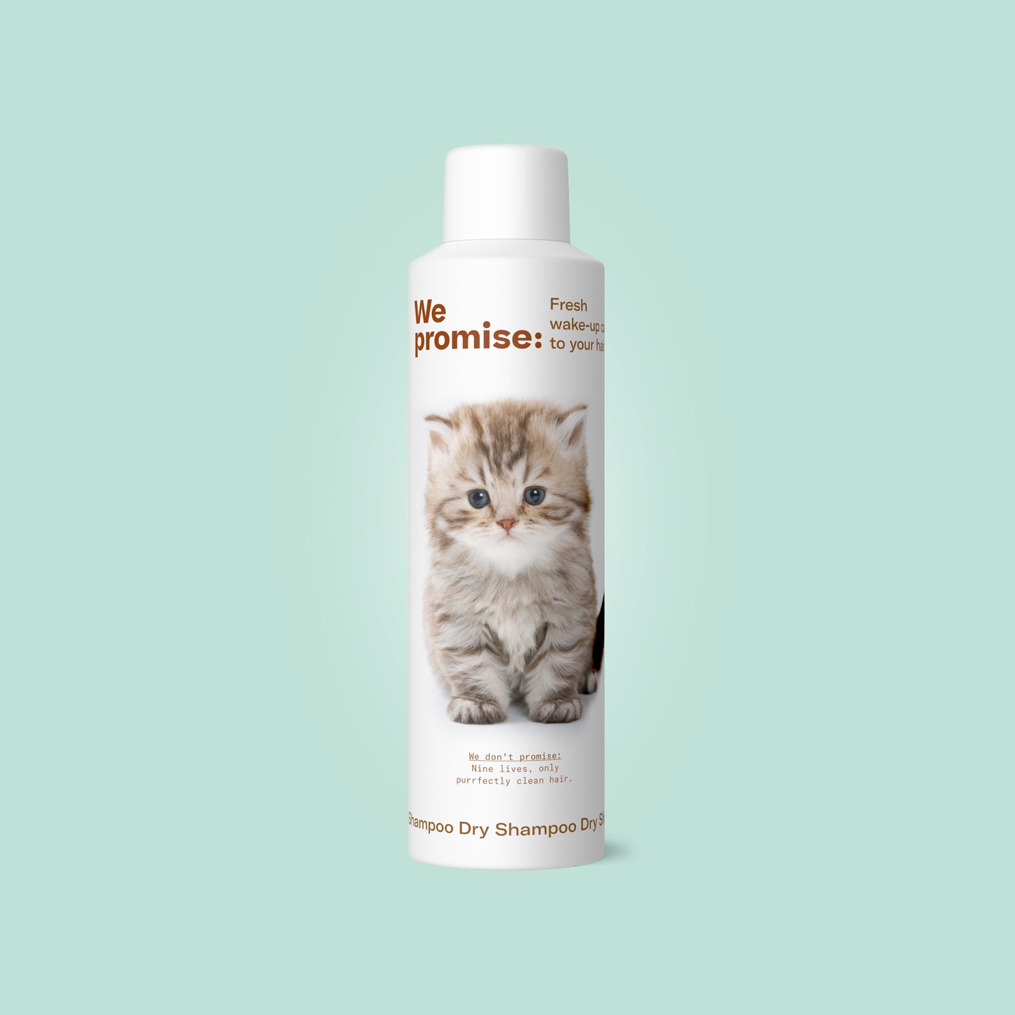 Promise Dry Shampoo 250ml